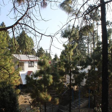 Ghughuti Resort Lansdowne Eksteriør bilde